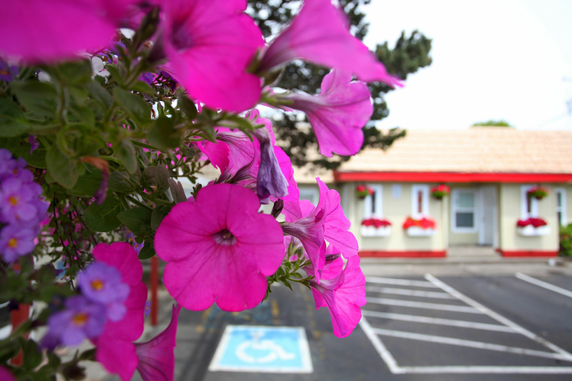 City Centre Motel By Oyo Seaside Dış mekan fotoğraf
